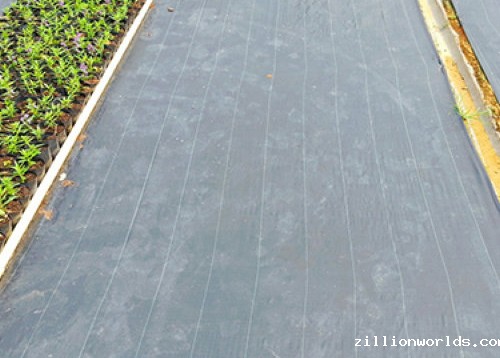 防草布生产供应