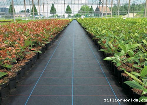 防草布生产销售