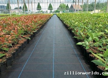 防草布生产销售